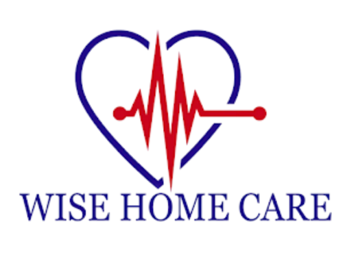 Wise Home Care Logo